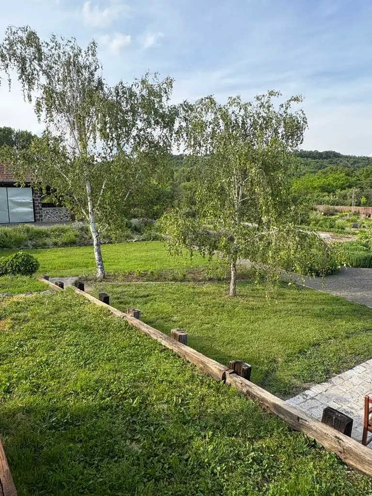 Nyugalmas környezet